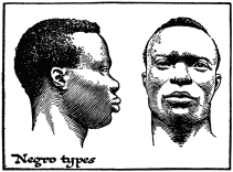 Negro types