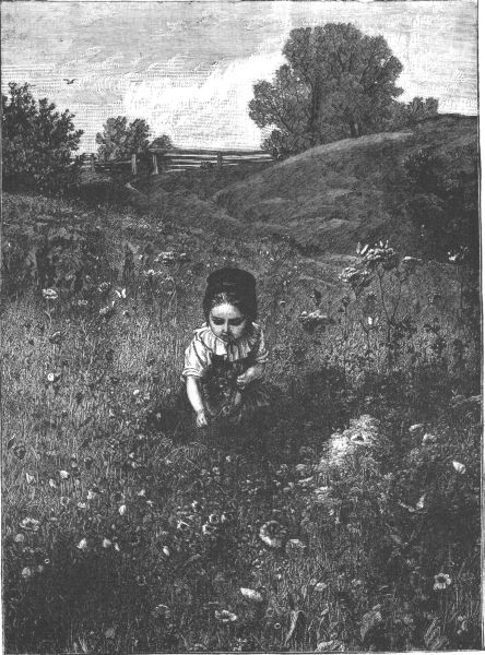 Girl picking flowers