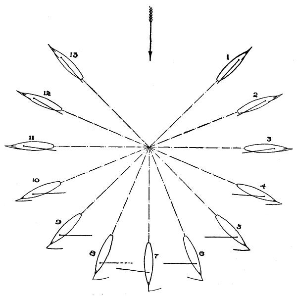 Diagram D