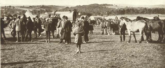 Brough Hill Horse Fair.  Photo. Valentine