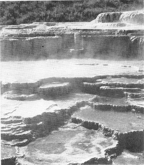 Almost like man-made rice fields are these dikes and terraces engineered by nature from minerals carried in the waters of the hot springs.