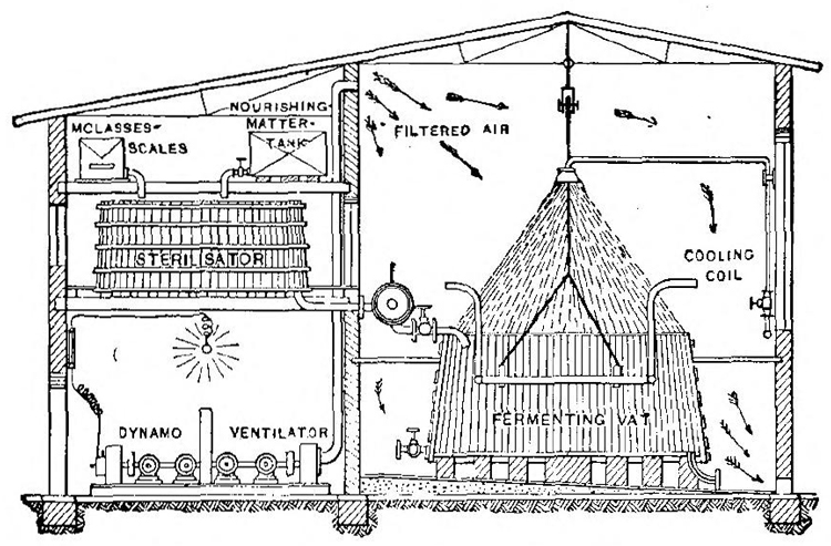 Molasses Fermenting House