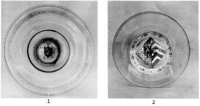 PLATE XXXIV