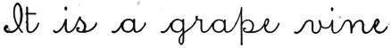 cursive: It is a grape vine.