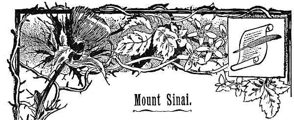 Mount Sinai.