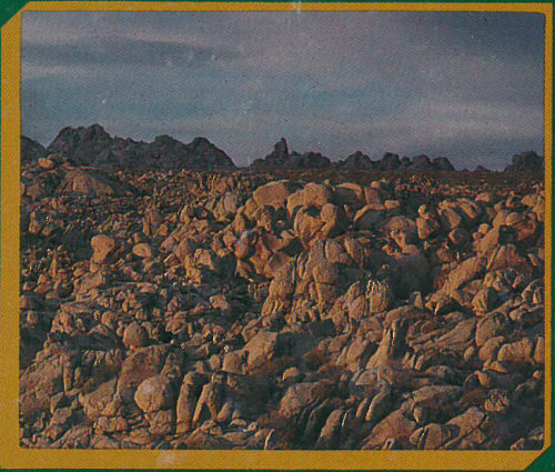 Granite Mountain in the Great Basin Desert (photograph by Terrence Moore).