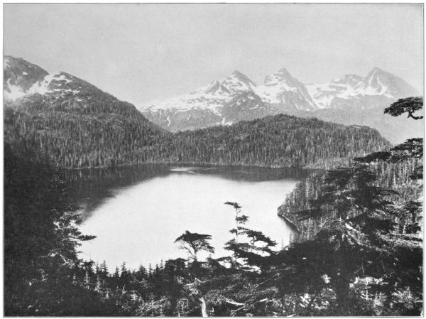 A lake surrounded by forest