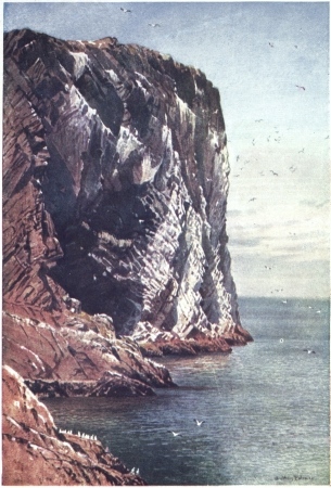 THE BASS ROCK, FIRTH OF FORTH, OFF THE COAST OF
HADDINGTONSHIRE