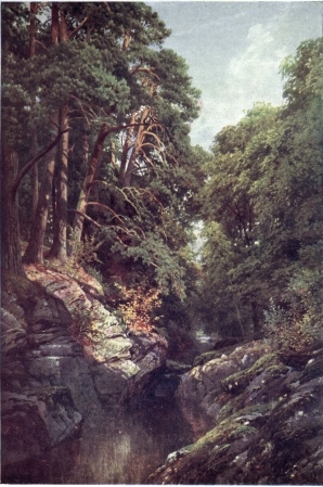 A WOODED GORGE, KILLIN, PERTHSHIRE