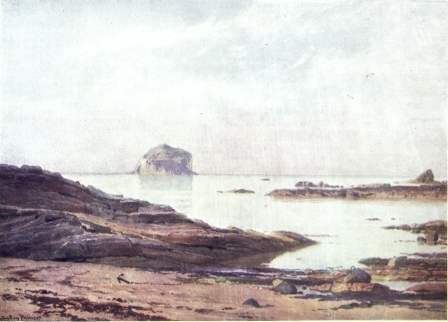 THE BASS ROCK—A TRANQUIL EVENING