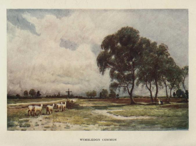 WIMBLEDON COMMON