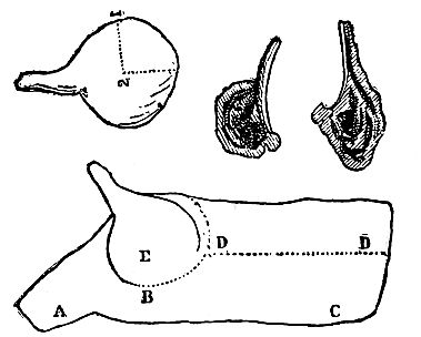 Cuts of meat