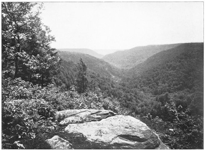 CLIFF VIEW, SUMMIT OF ALLEGHENIES.