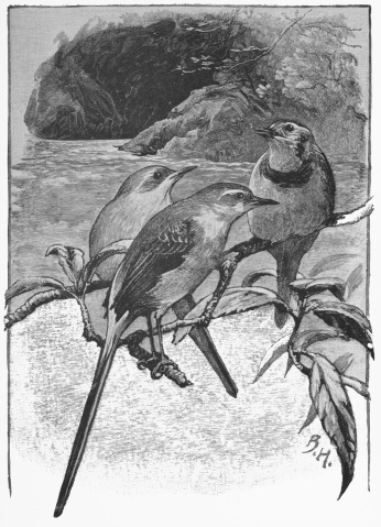 “Would you mind telling me, as I see you wag your own
tails so constantly and so nicely, why you do it?”—P. 170.