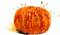 orange pin-cushion