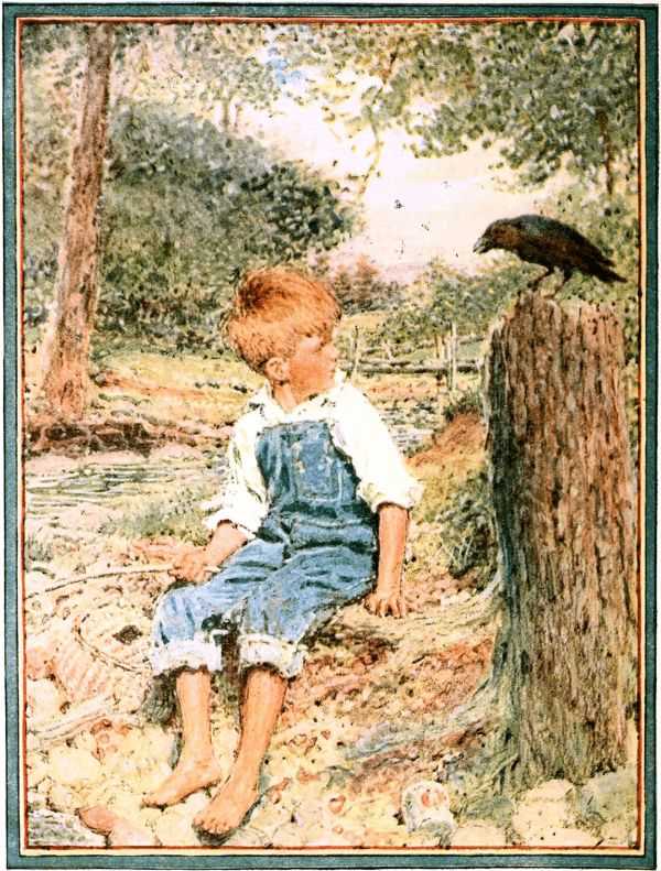 boy and bird