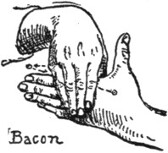 Bacon