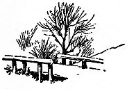 bridge with bare trees beside it