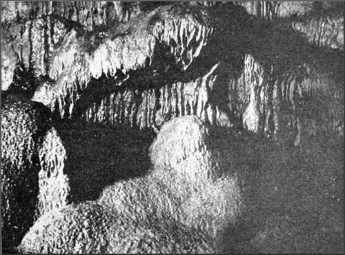 STALACTITE TERRACE, WOOKEY HOLE.