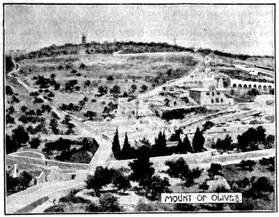 MOUNT OF OLIVES.