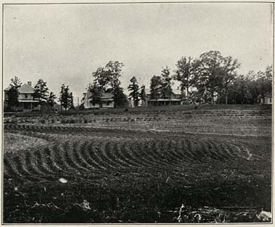 GENERAL VIEW OF COLONY