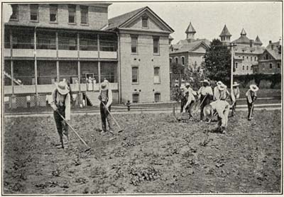 COLONY PATIENTS CULTIVATING STRAWBERRIES