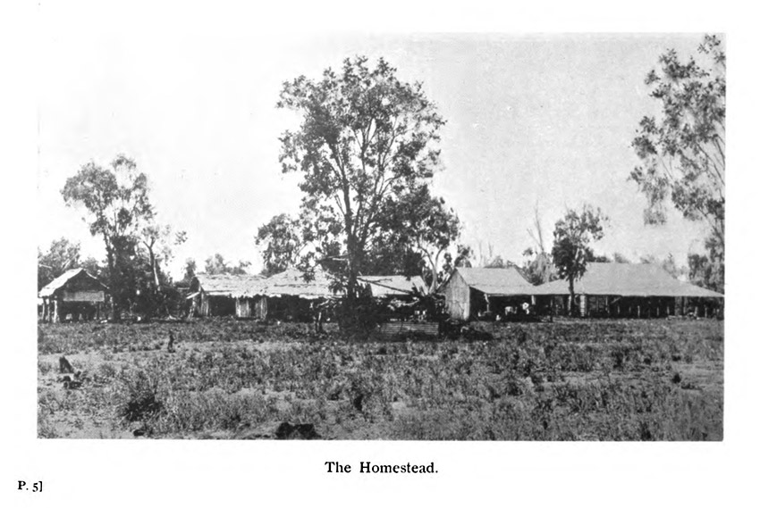 The Homestead