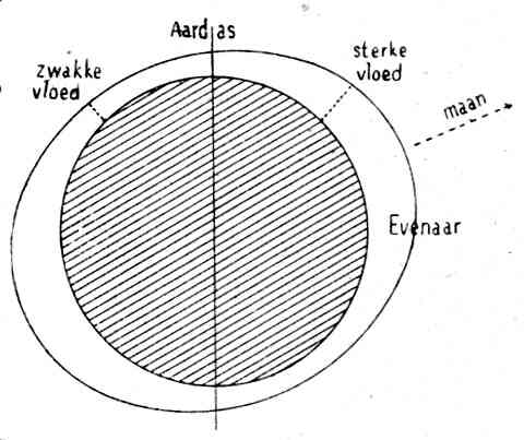 image: page305.jpg