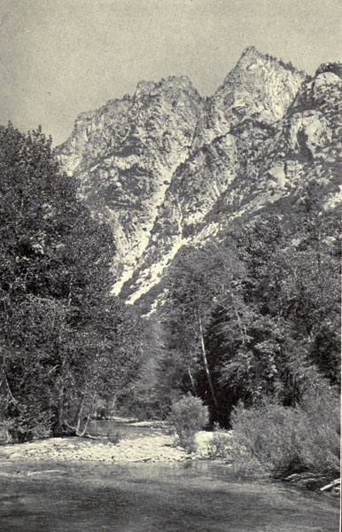 A Trout Stream in
the Sierra Nevada (King’s River)