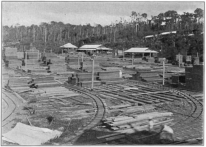 A lumber yard. Kolambugan, Mindanao