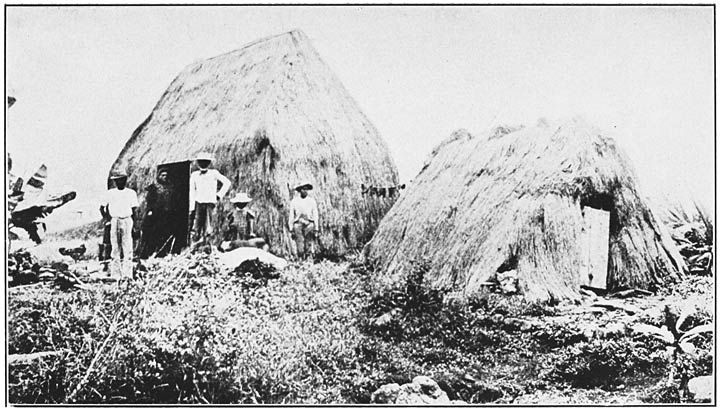 HAWAIIAN GRASS HOUSES