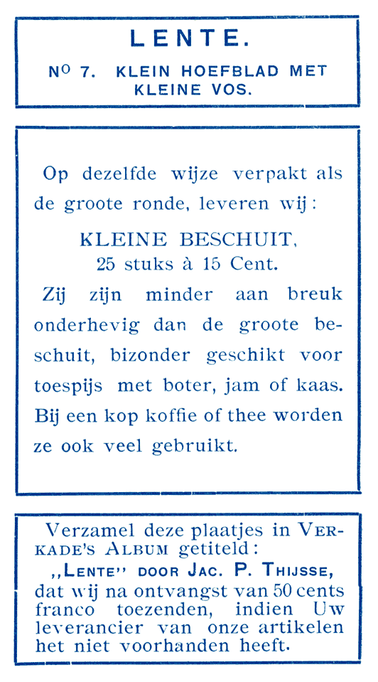 Klein Hoefblad met kleine Vos.