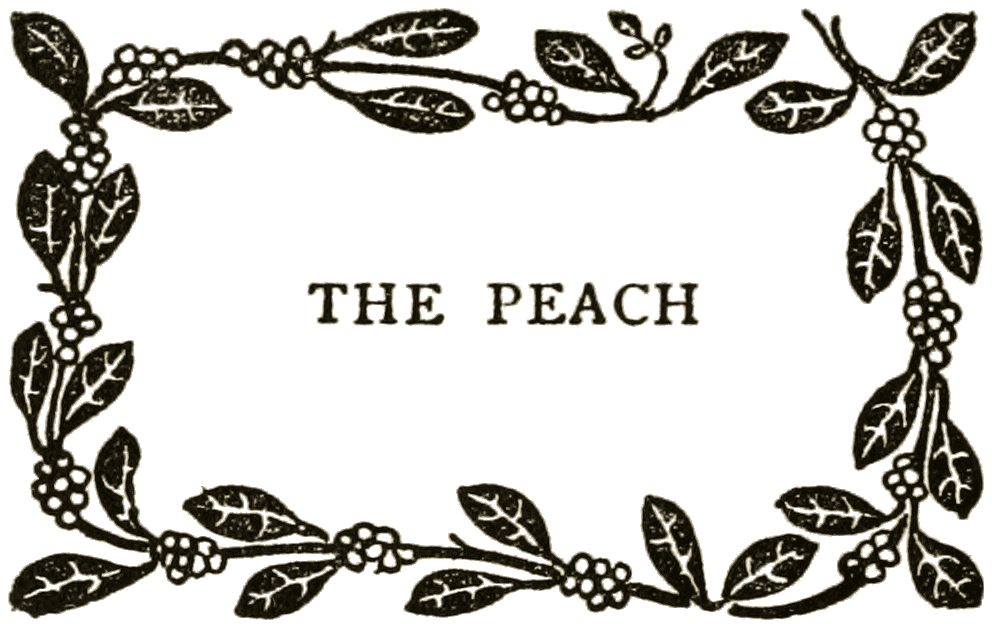 THE PEACH