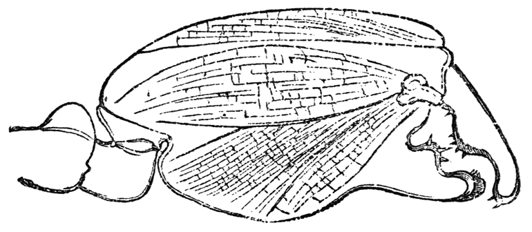 Fig. 22.