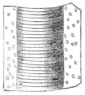 Fig. 54.