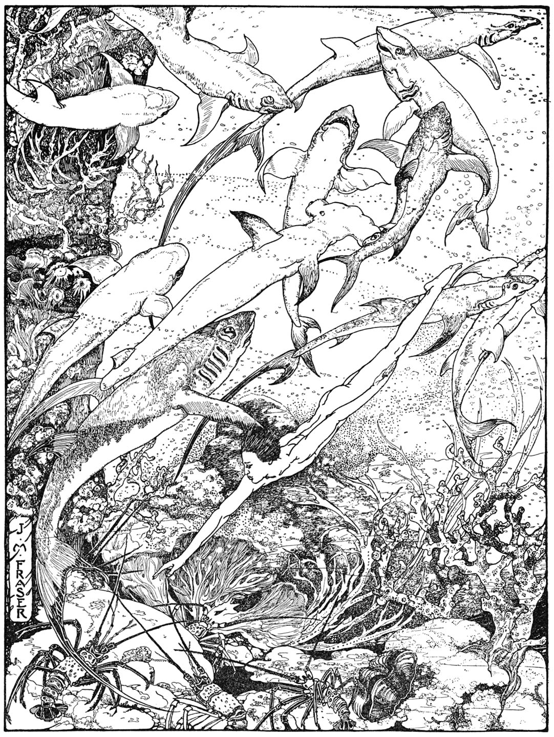 “Then Pu-nia dived ... into the cave, took two lobsters in his hands, and came up on the place that he had spoken from.”