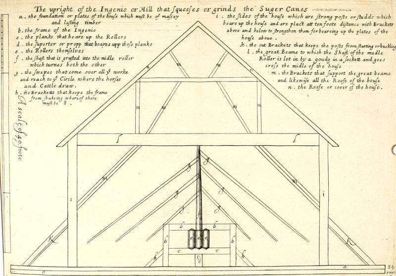 The upright of the Ingenio or Mill that squeeses or grinds the Suger Canes