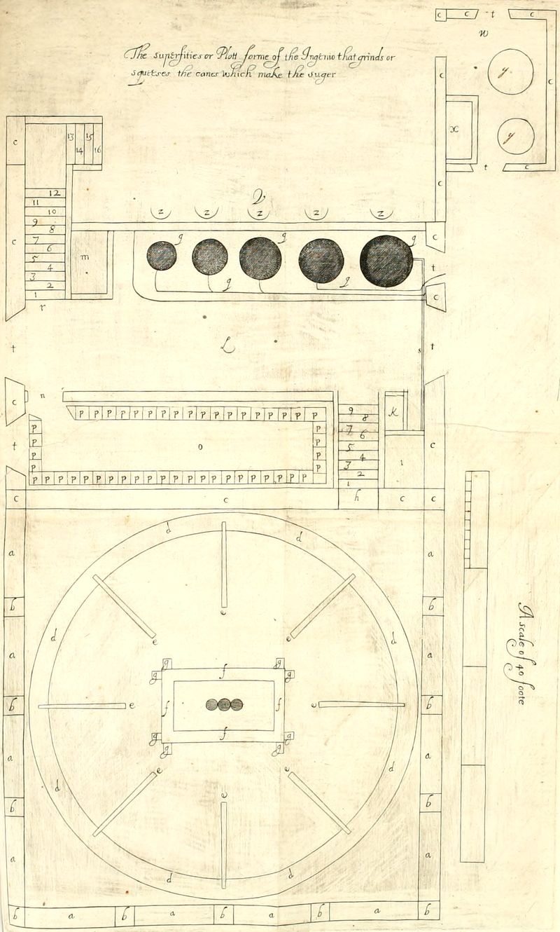 The superficies or Plat forme of the Ingenio