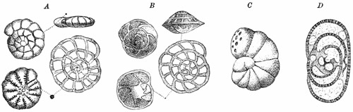 Fig. 34.