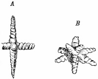 Fig. 69.