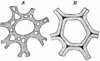 Fig. 197.