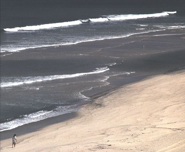 (Woman on Seashore.)