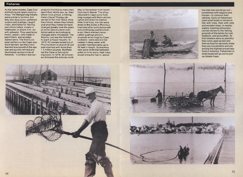 (Fish drying on a wharf in Provincetown.
  Fisherman with quahog rake. Small boat raising a trap.
  Loading quahogs into a wagon in shallow water.
  Collecting quahogs with a net.)