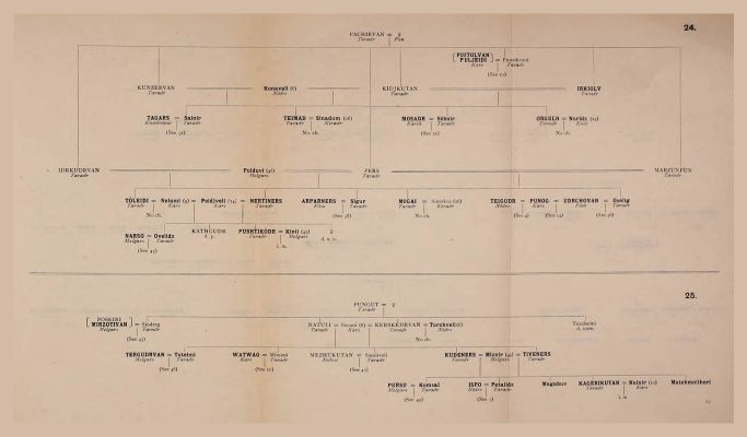 Genealogical Table