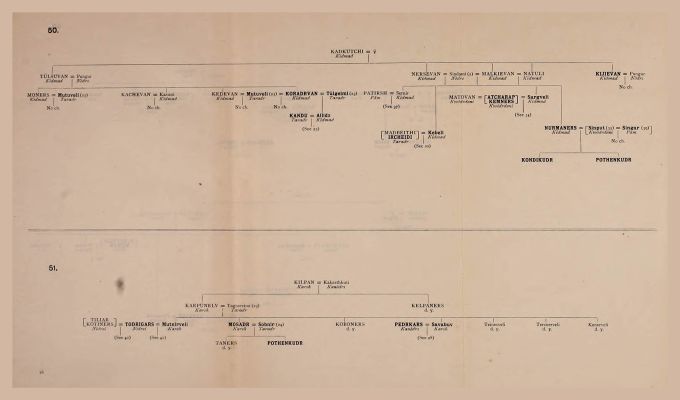 Genealogical Table