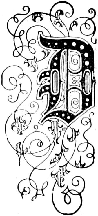 Illustrated capital D