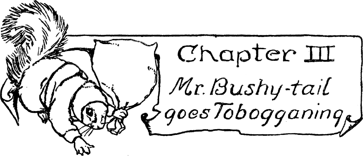 Chapter III
Mr. Bushy-tail goes Tobogganing