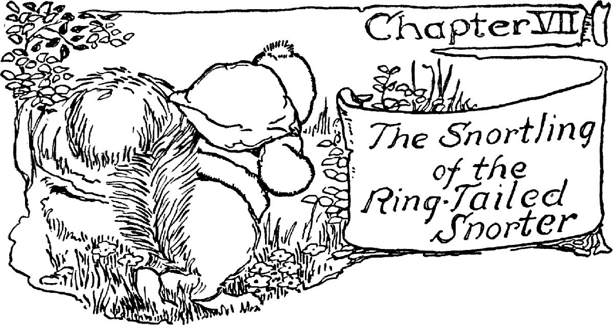 Chapter VII
The Snortling of the Ring-Tailed Snorter