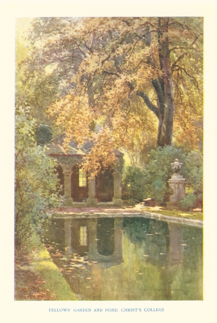 FELLOWS' GARDEN AND POND, CHRIST'S COLLEGE