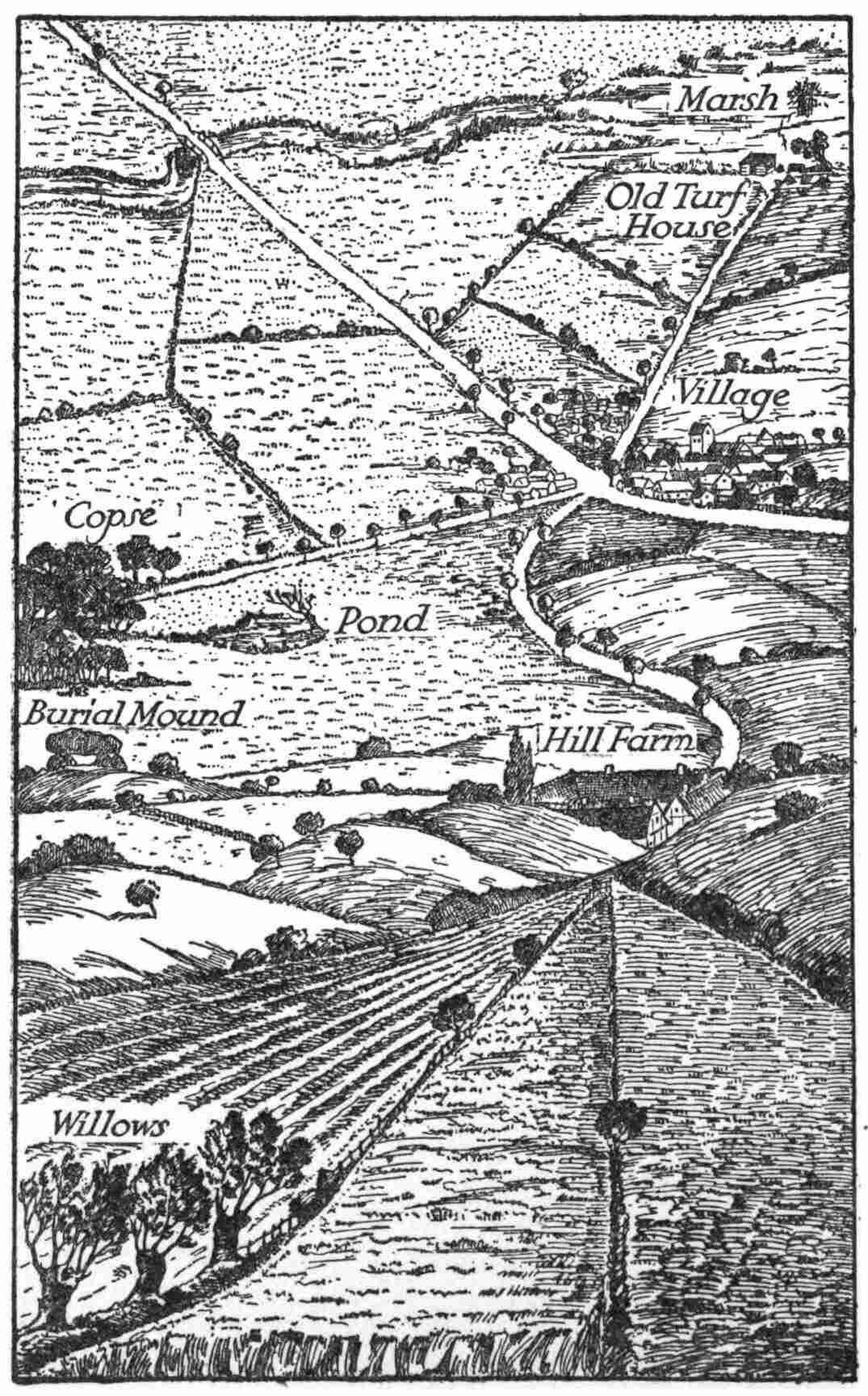 Map of Fields